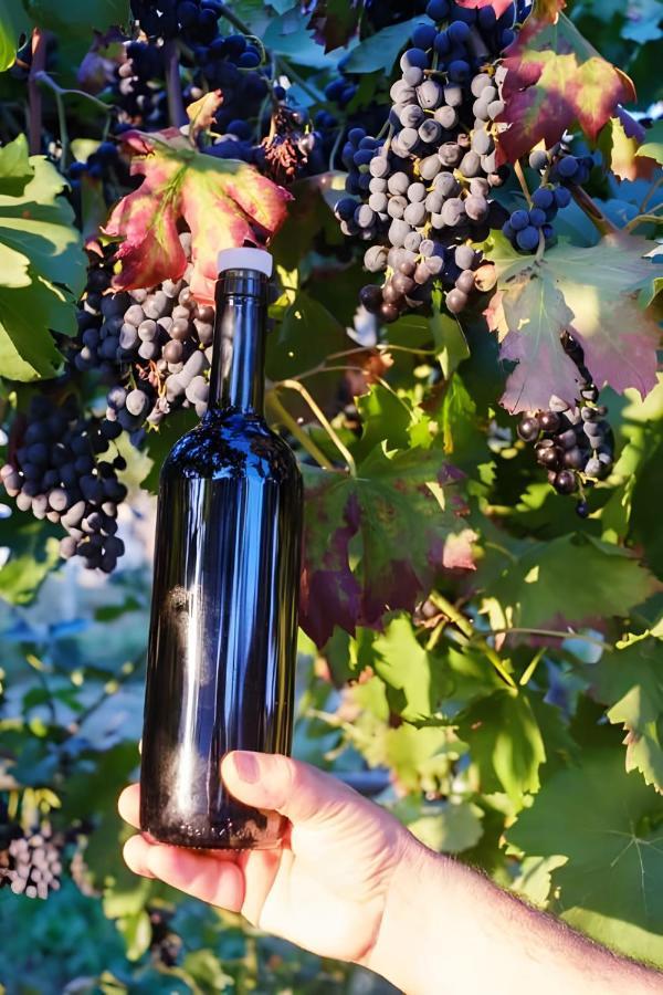 Luna D'Agerola Luaran gambar