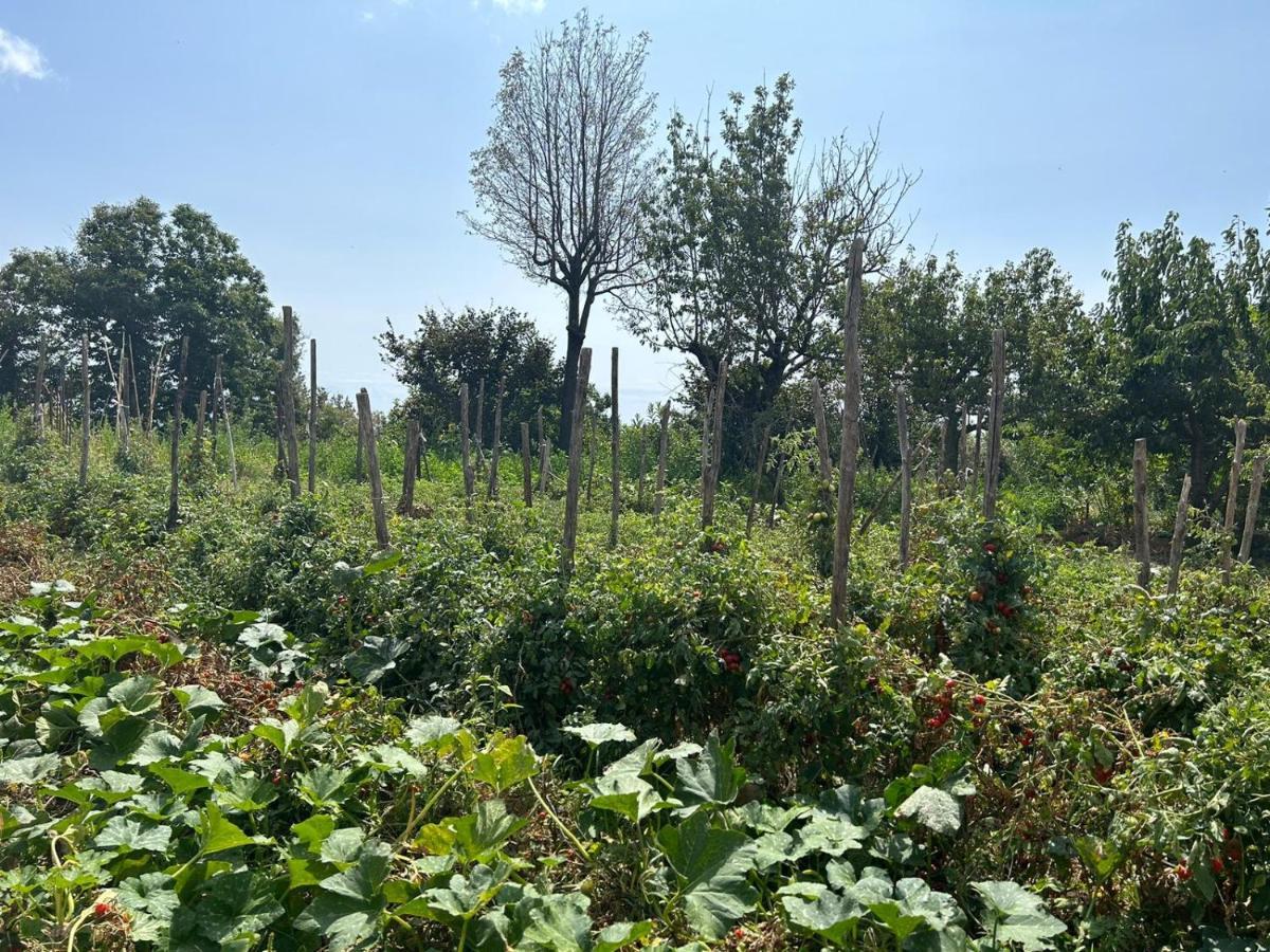 Luna D'Agerola Luaran gambar